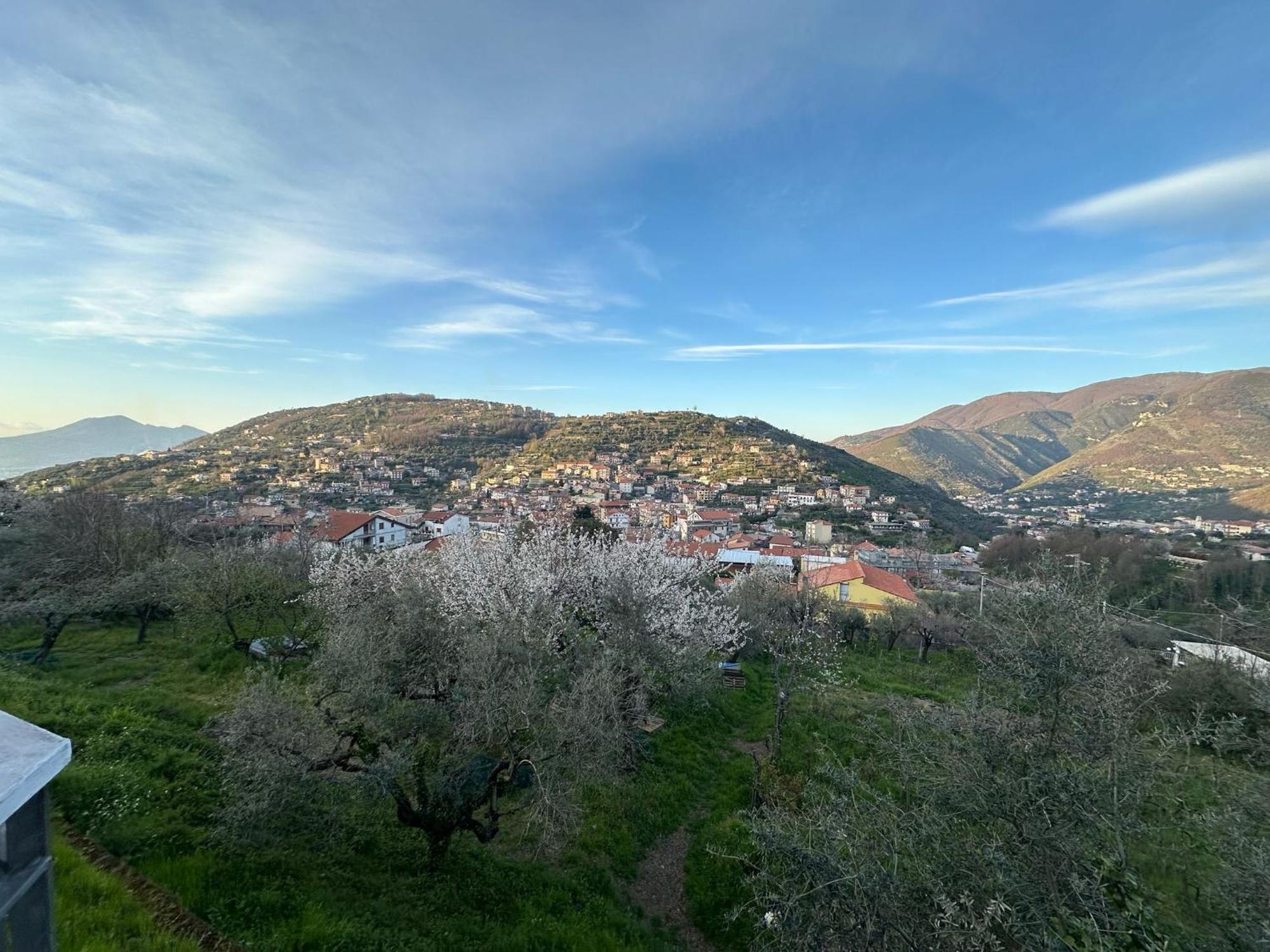Bed And Breakfast Il Ceppo Wild Pimonte Bagian luar foto