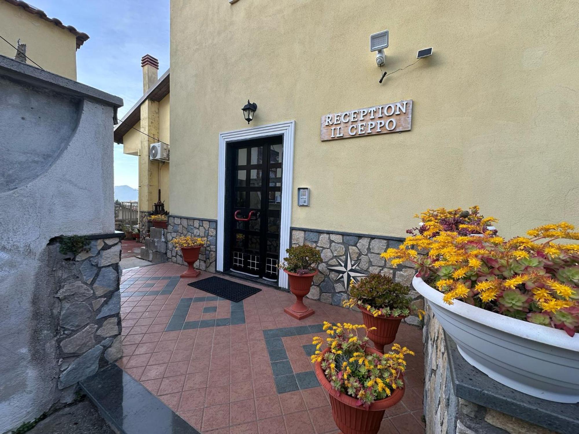Bed And Breakfast Il Ceppo Wild Pimonte Bagian luar foto